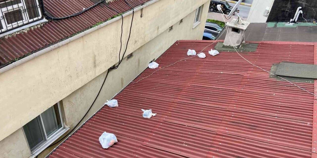 Esenyurt’ta 25 katlı lüks rezidansın sakinleri komşularını çıldırttı