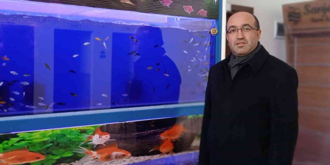 Tropikal iklim balıkları jeotermal kaynak su ile yetiştirilecek