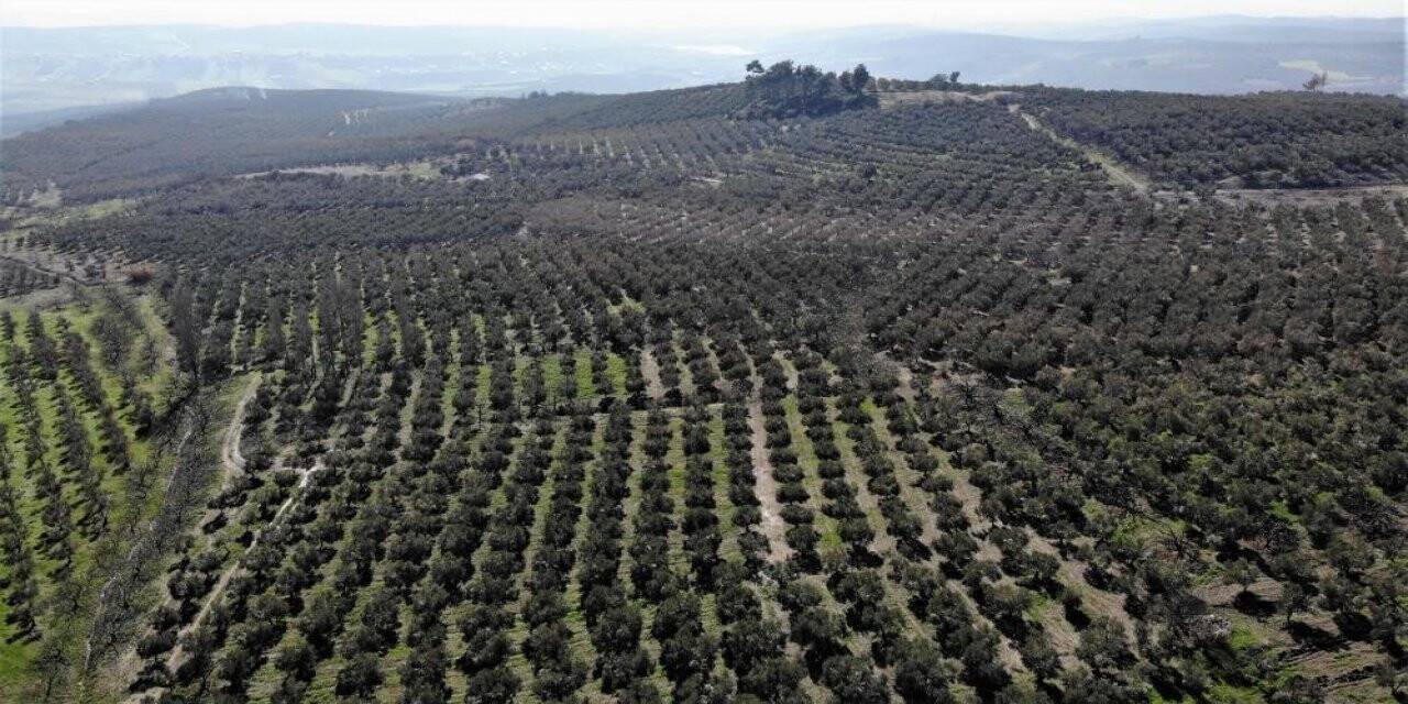 En güvenilir yatırım toprak