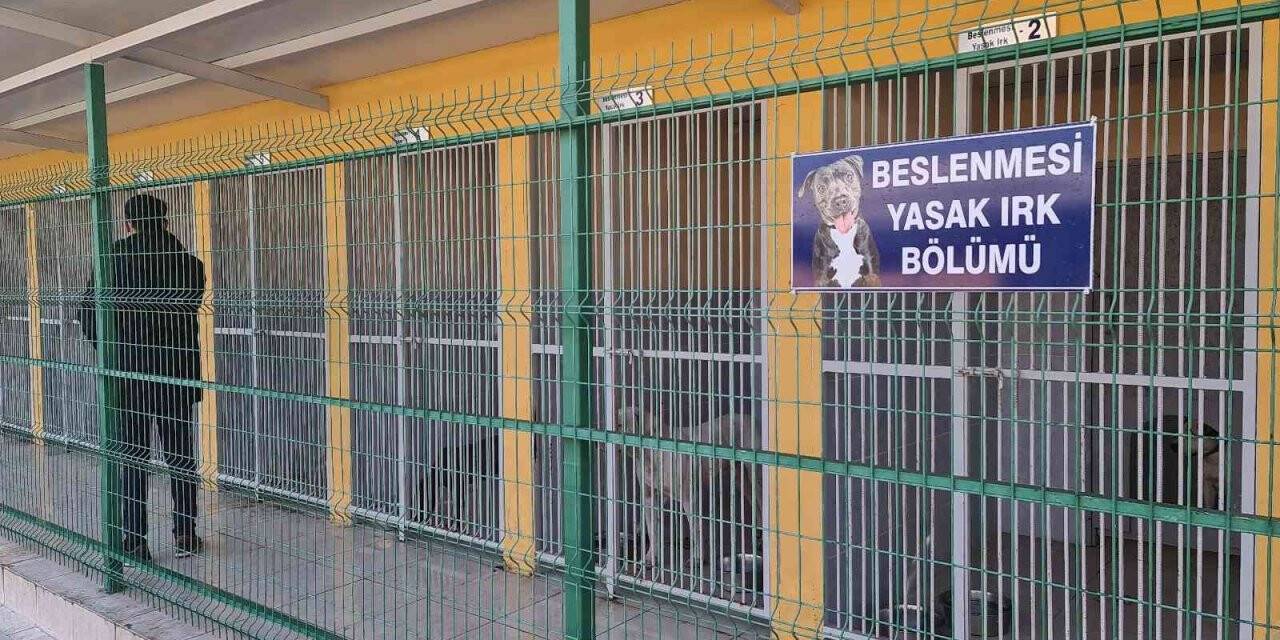 Yasaklı hayvanlar bu merkezdeki özel bölümde rehabilite ediliyor