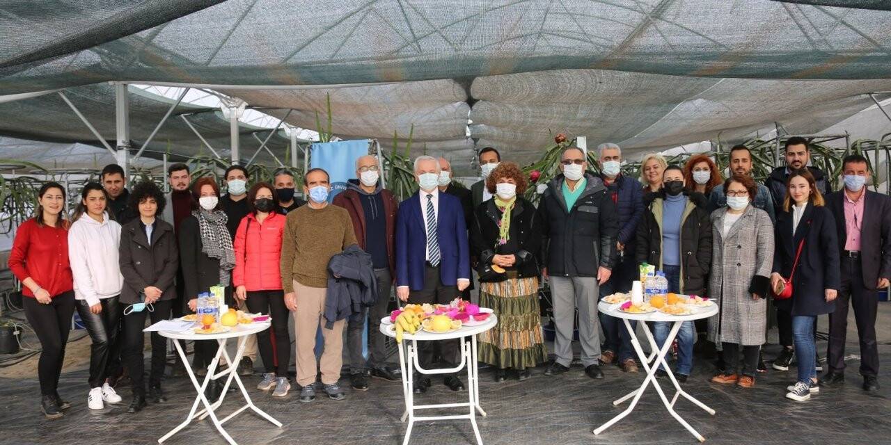 Prof. Dr. Hamide Gübbük: “Pitayanın su tüketimi az, verimi fazla”