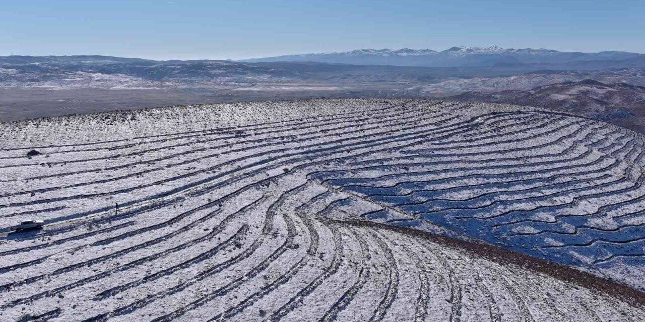Bingöl’de 210 bin adet fidan toprakla buluştu