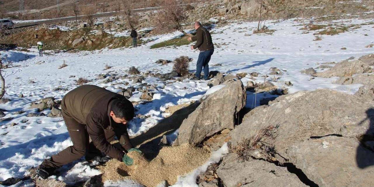 Yaban hayvanları için doğaya yem servisi yapıldı
