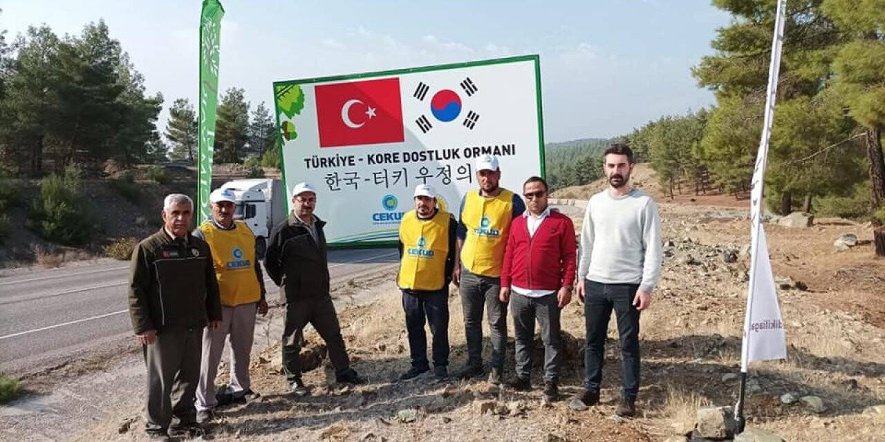Kilis’te Türkiye-Kore Dostluk Ormanı’nda 20 bin fidan toprakla buluştu