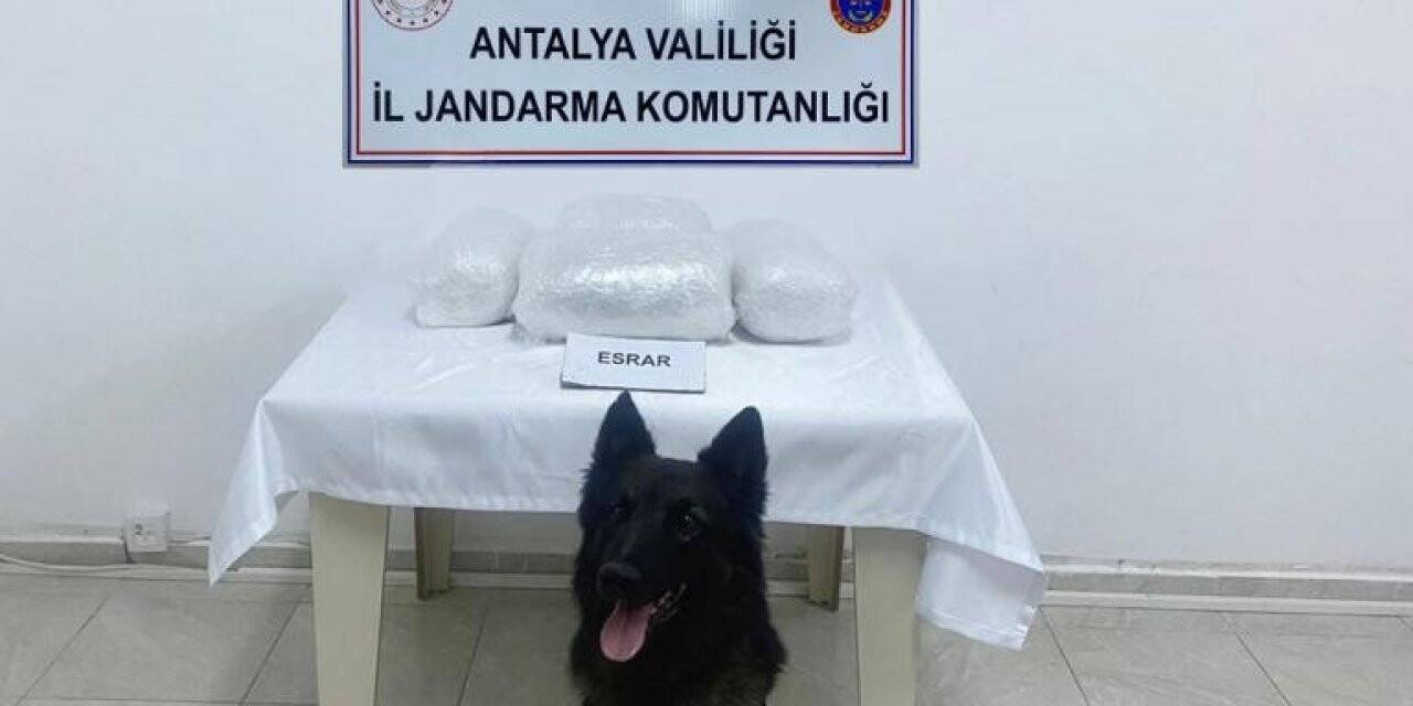 Yolcu otobüsünde 300 bin TL değerinde uyuşturucu bulundu