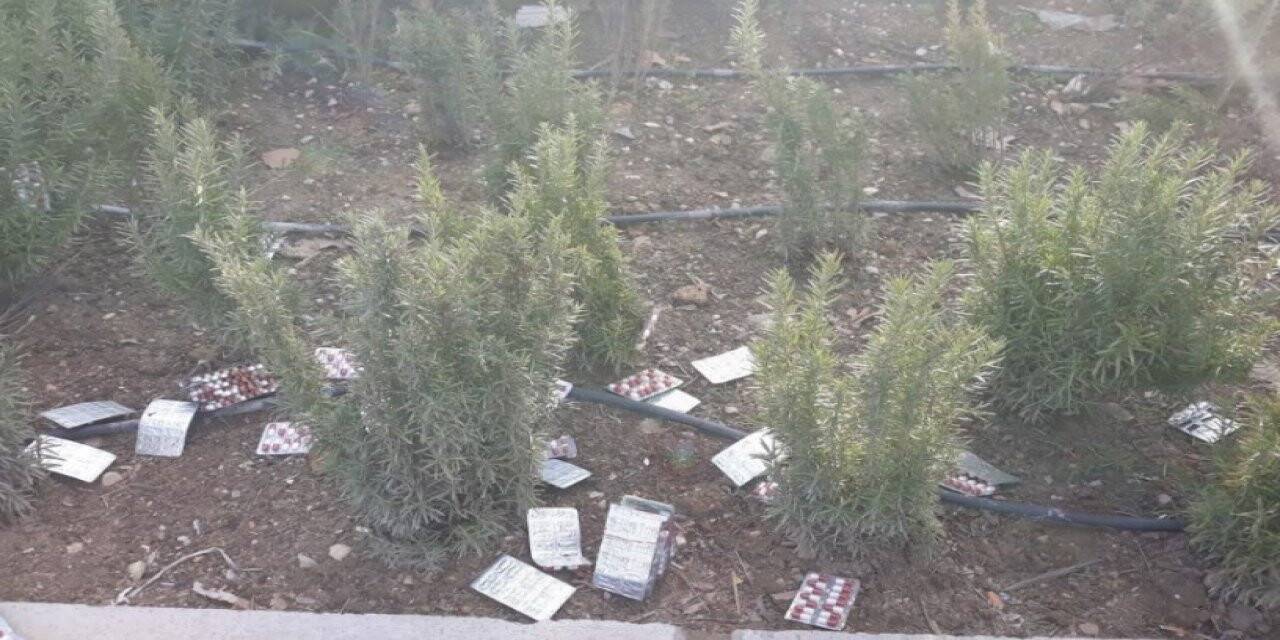 Binlerce uyuşturucu hapı yol kenarına atıp 10 km kaçtılar
