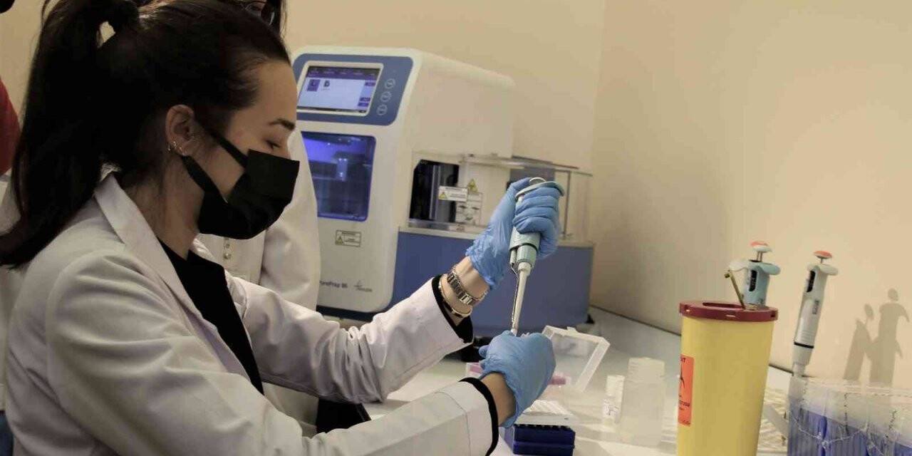 Erzincan’da yeni evleneceklere ücretsiz SMA testi yapılmaya başlandı