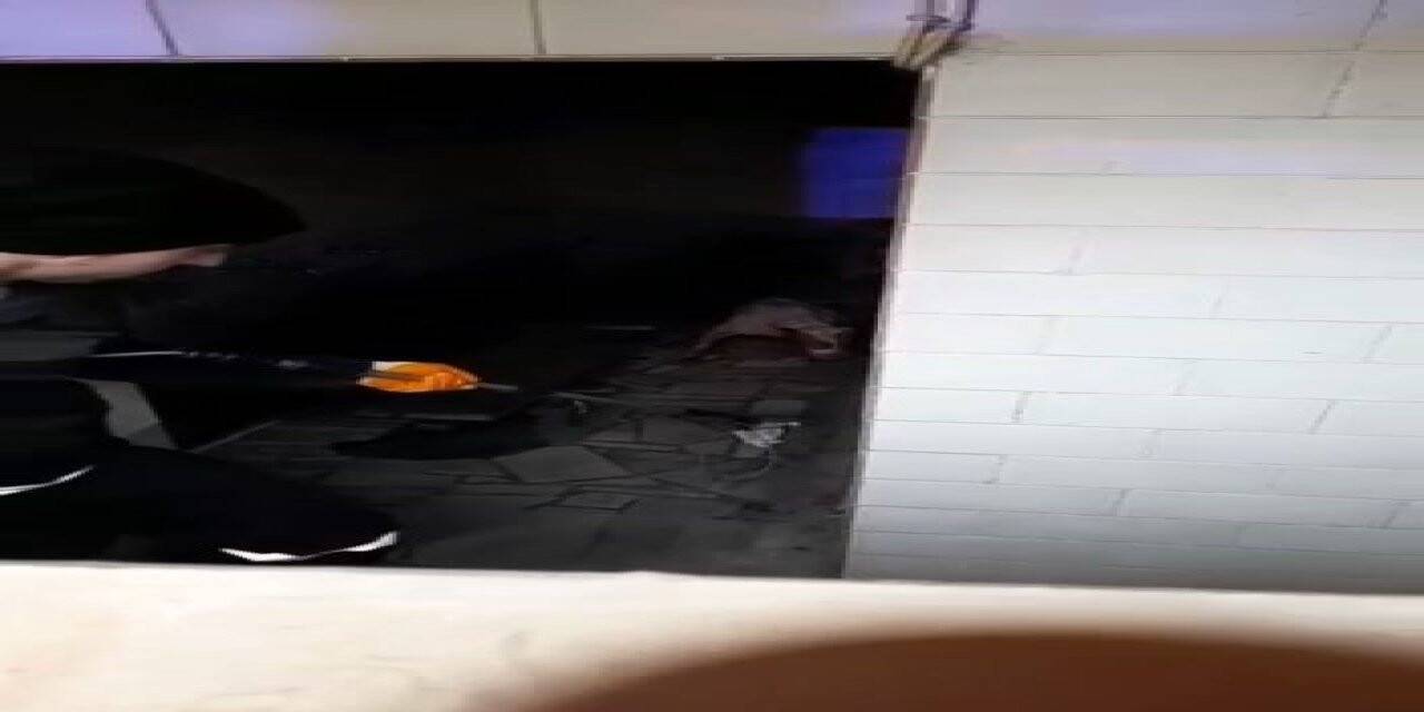 Bursa’da başıboş Pitbull köpeğine camide operasyon