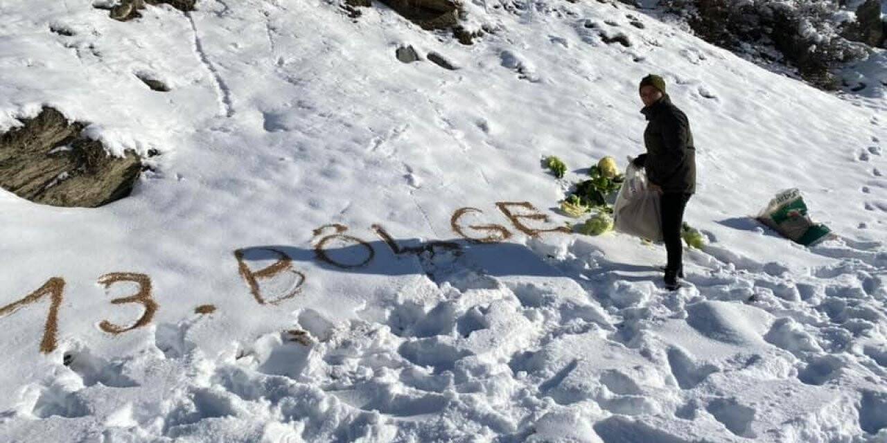 Yaban hayvanlarının yaşam alanlarına yem desteği