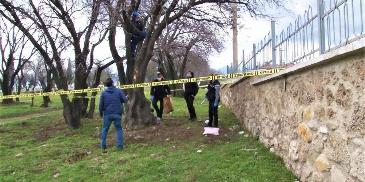 İpten alıp kalp masajıyla hayata tutundurdular