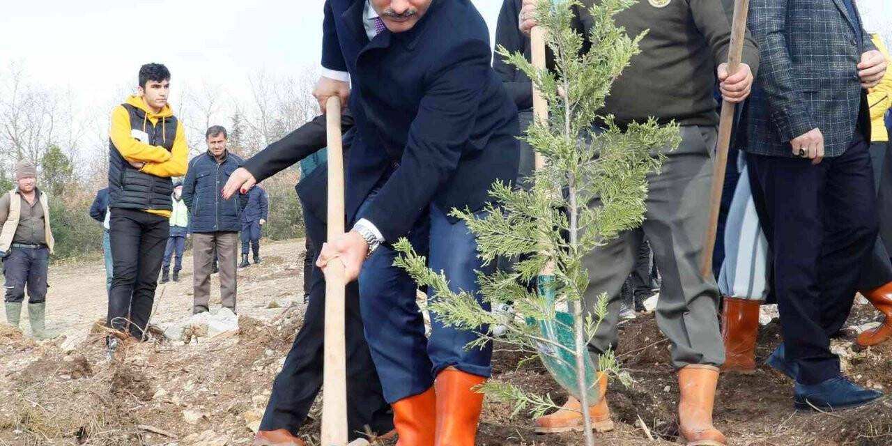 Fidanlar Alaaddin öğretmen için dikildi