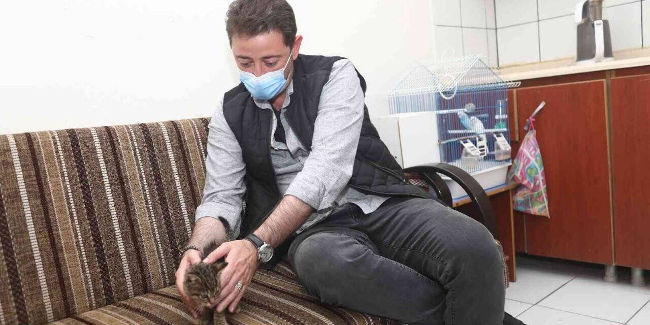 Bandırma Belediye Başkanı Tolga Tosun, " Bir Köpeğin yaptığı, tüm sokak dostlarımıza fatura edilemez"