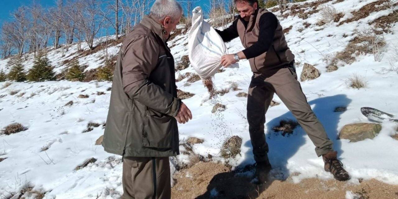 Elazığ’da yaban hayvanları için doğaya yem bırakıldı