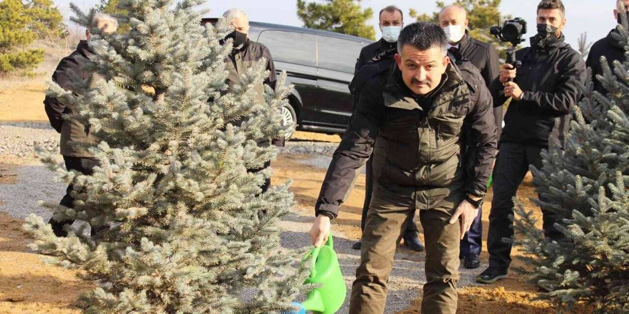 Bakan Pakdemirli, 252 milyonuncu fidanı toprakla buluşturarak can suyu verdi.