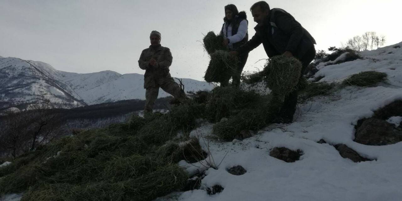 Tunceli’de  yaban hayvanları için doğaya yem bırakıldı