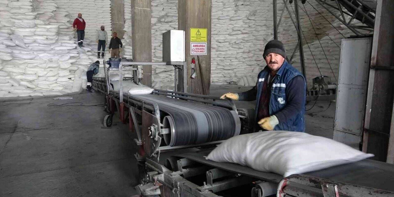 Muş’ta 38 bin 290 ton şeker üretimi yapıldı