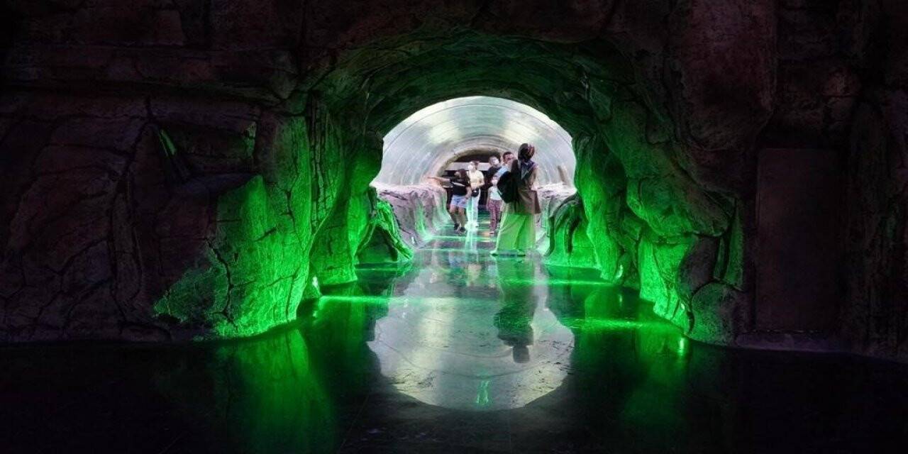 Keçiören’de öğrenciler su altı canlılarını Deniz Dünyası’nda öğreniyor