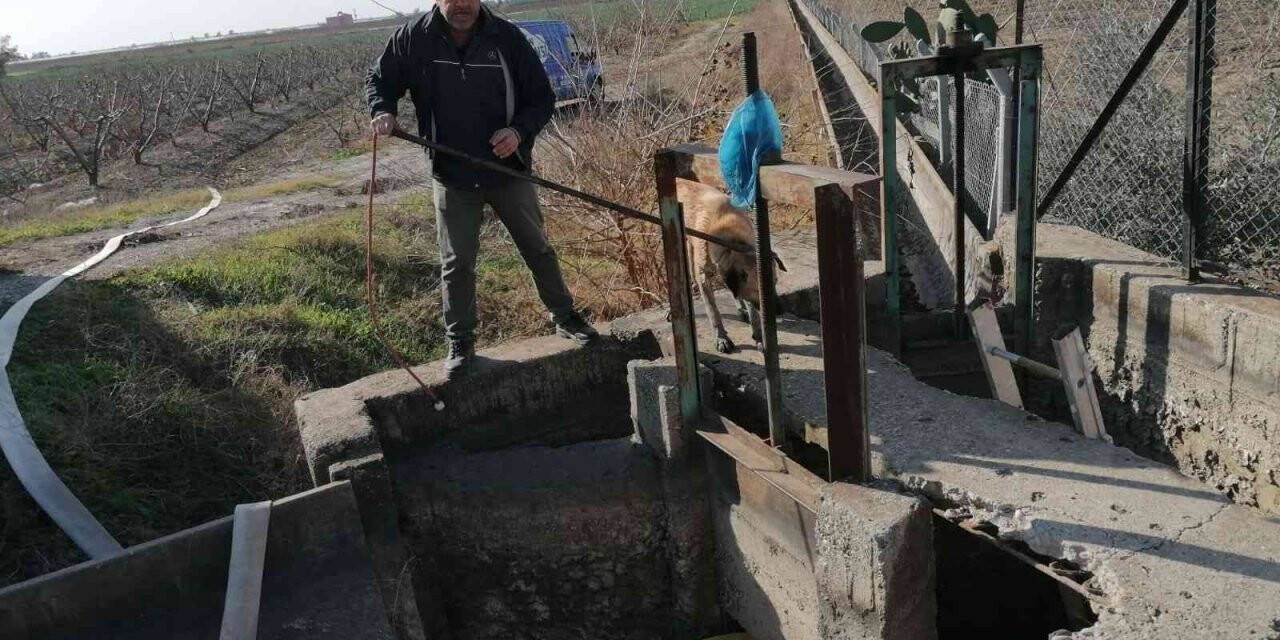 Kanala düşen köpeği belediye kurtardı