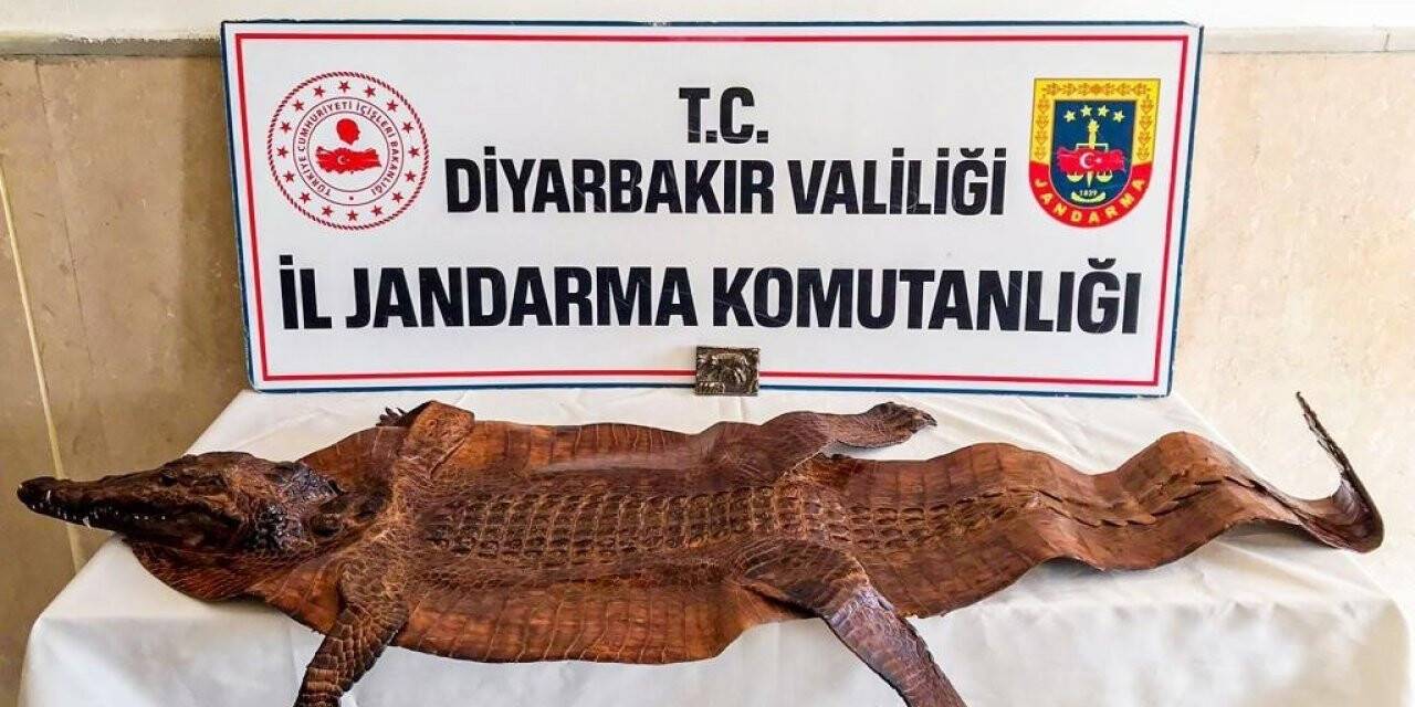 Diyarbakır’da 2 milyon dolar karşılığında satılmaya çalışılan tarihi eser yakalandı