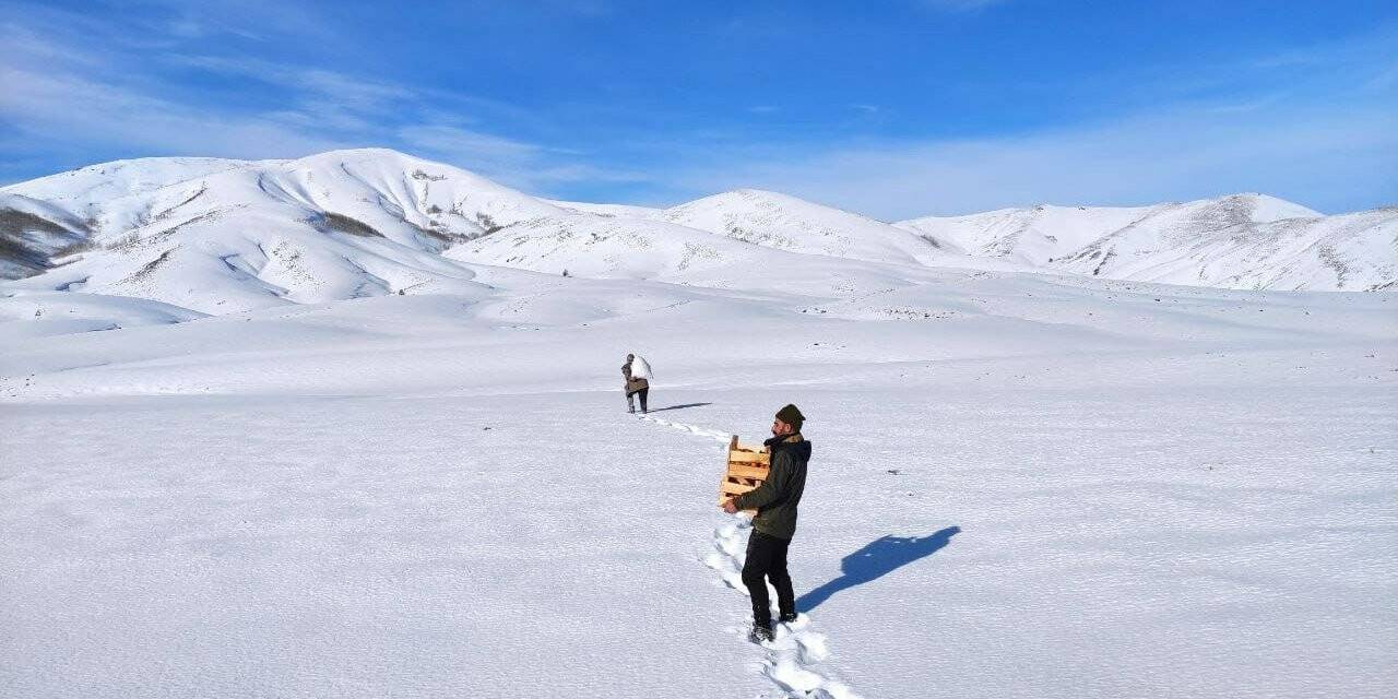 Bingöl’de yaban hayvanları için doğaya yem bırakıldı