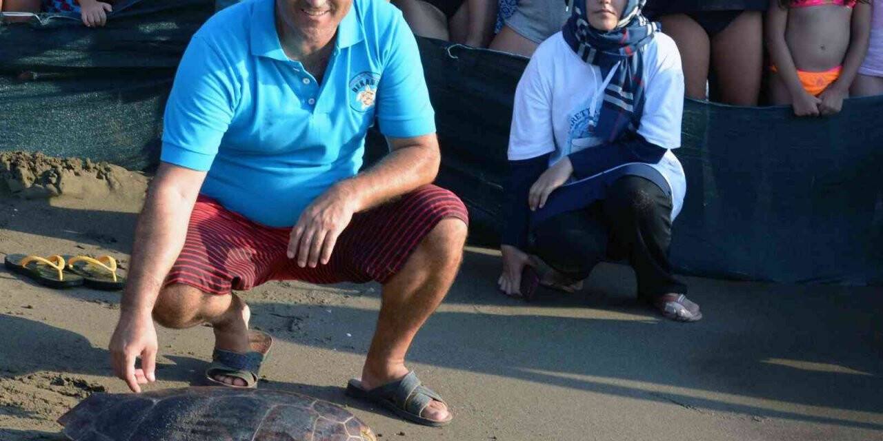 Caretta carettaların neslinin devamı için seferber oldular