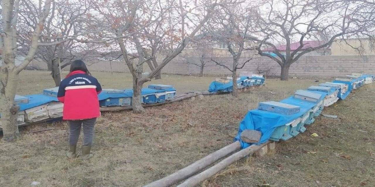 Iğdır’da arılı kovan desteklemeleri