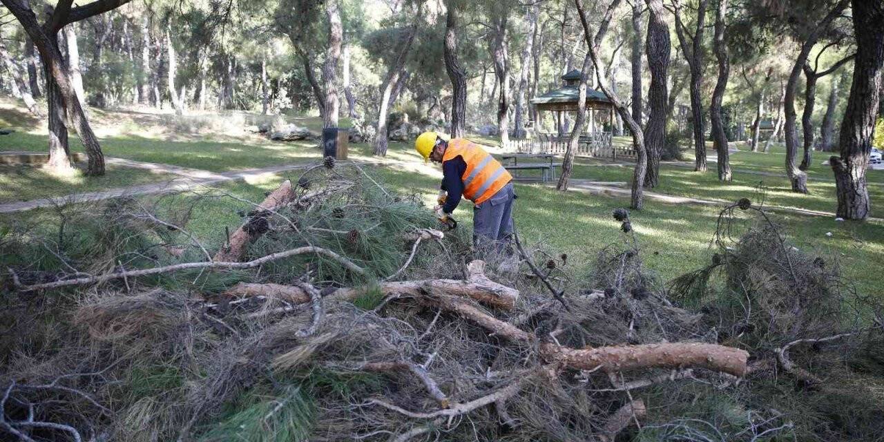 Antalya Hayvanat Bahçesi’ne kış bakımı