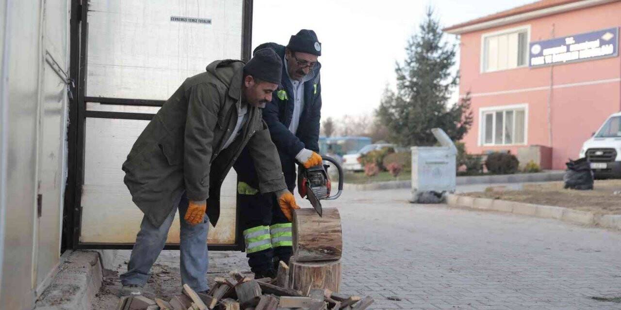 Budanan ağaçlar ihtiyaç sahiplerine yakacak oluyor
