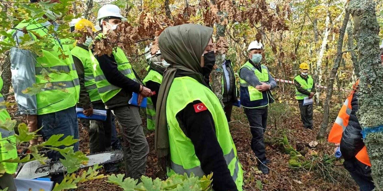 Ormanlarda uygulamalı eğitim