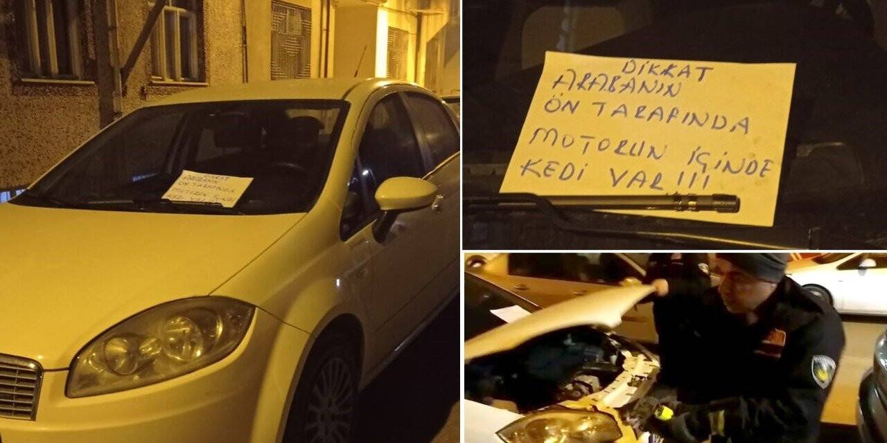 Aracın motoruna sıkışan kedi itfaiye ekipleri tarafından kurtarıldı