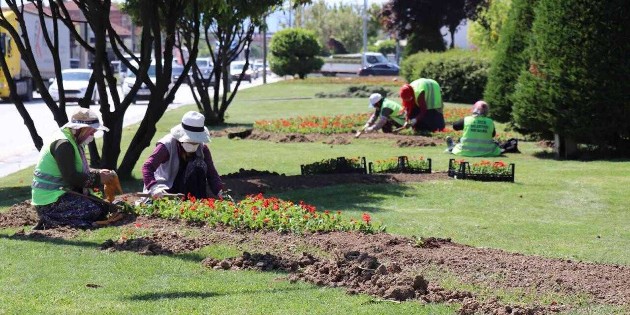 Bin 920 ağaç, 443 bin çiçek toprakla buluştu