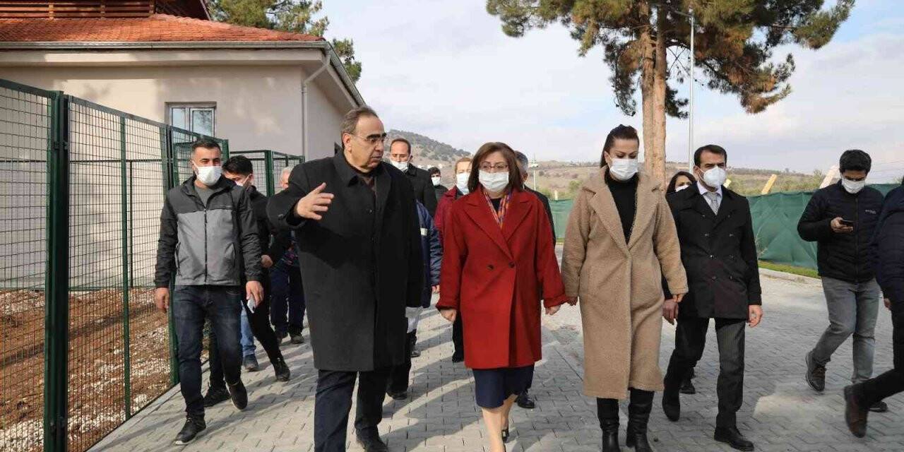 Türkiye’nin en büyük hayvan barınağının yapımı tamamlandı