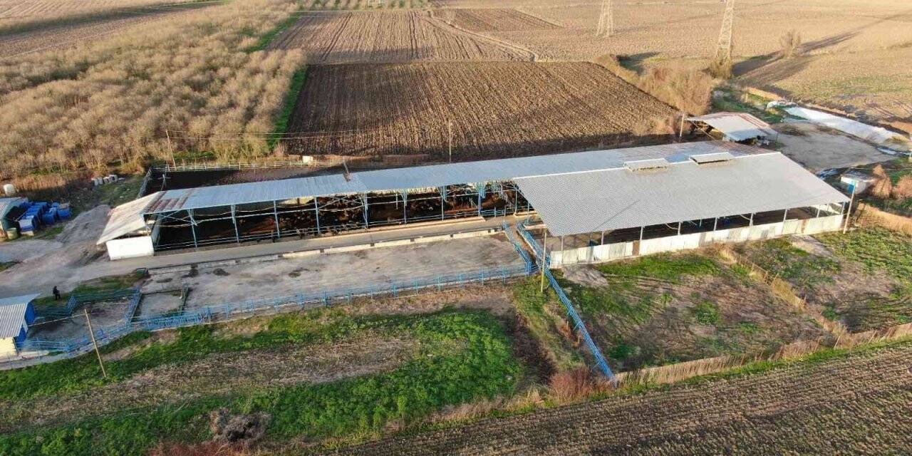 Mozzarella peynirini artık Sakarya üretecek