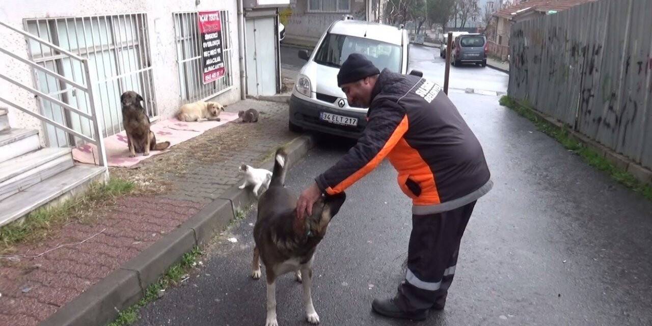 Sultangazi’de temizlik işçisi ile köpeğin dostluğu yürek ısıttı