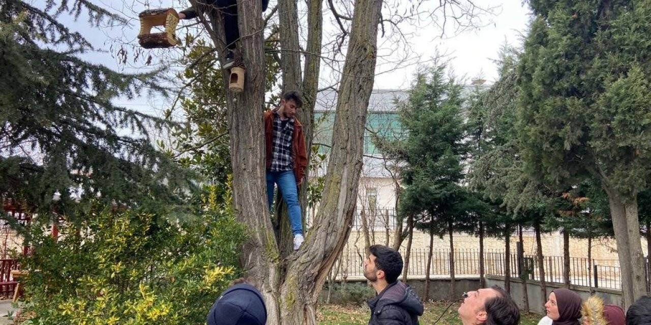 Üniversiteliler kuşları bu kış aç bırakmayacak