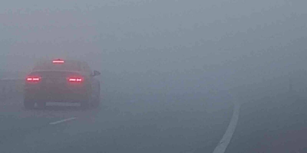 Aydın’da yoğun sis etkili oldu