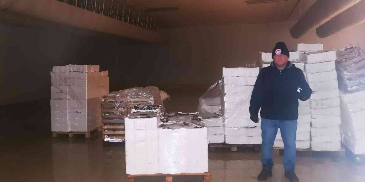 Gürpınar Su Ürünleri Halinde 6 ton balığa el konuldu