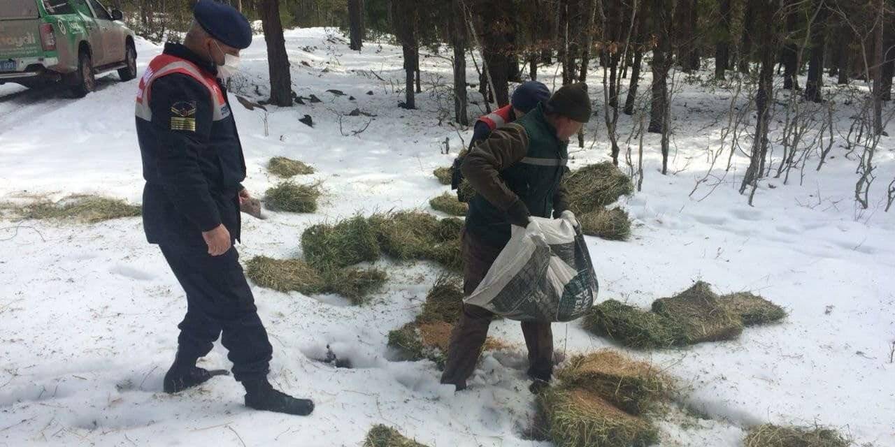 Kütahya’da yaban hayvanlarına yem bırakıldı