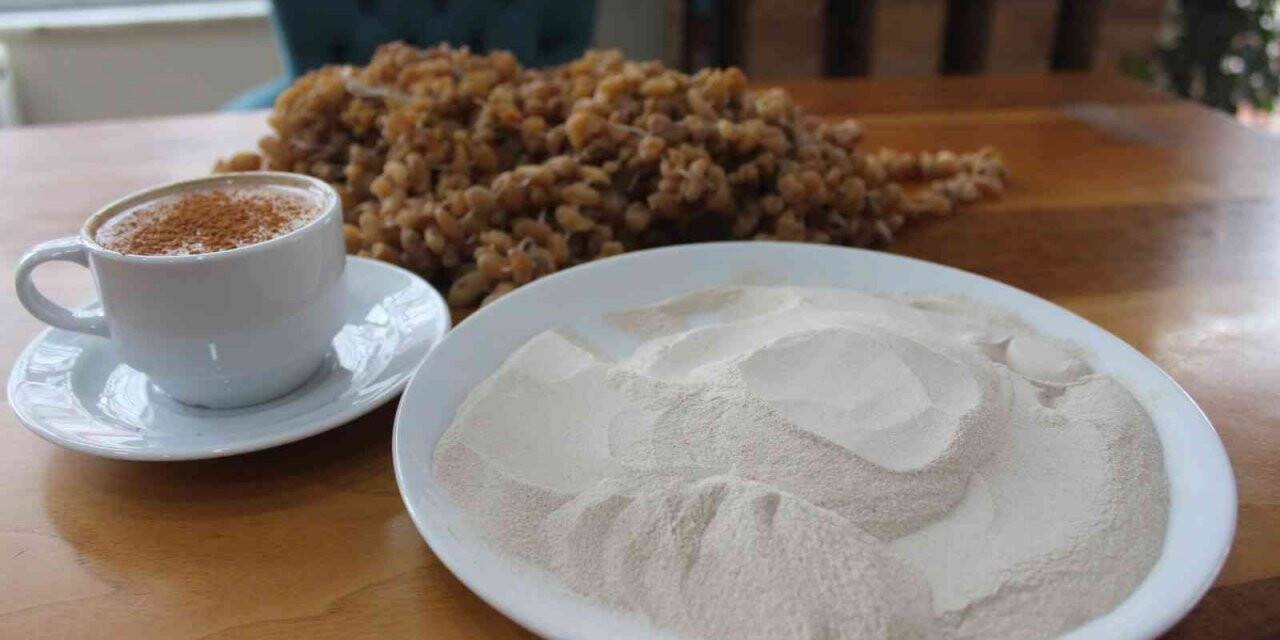 Kilogramı bin 500 TL olan Bucak Salebine yoğun ilgi