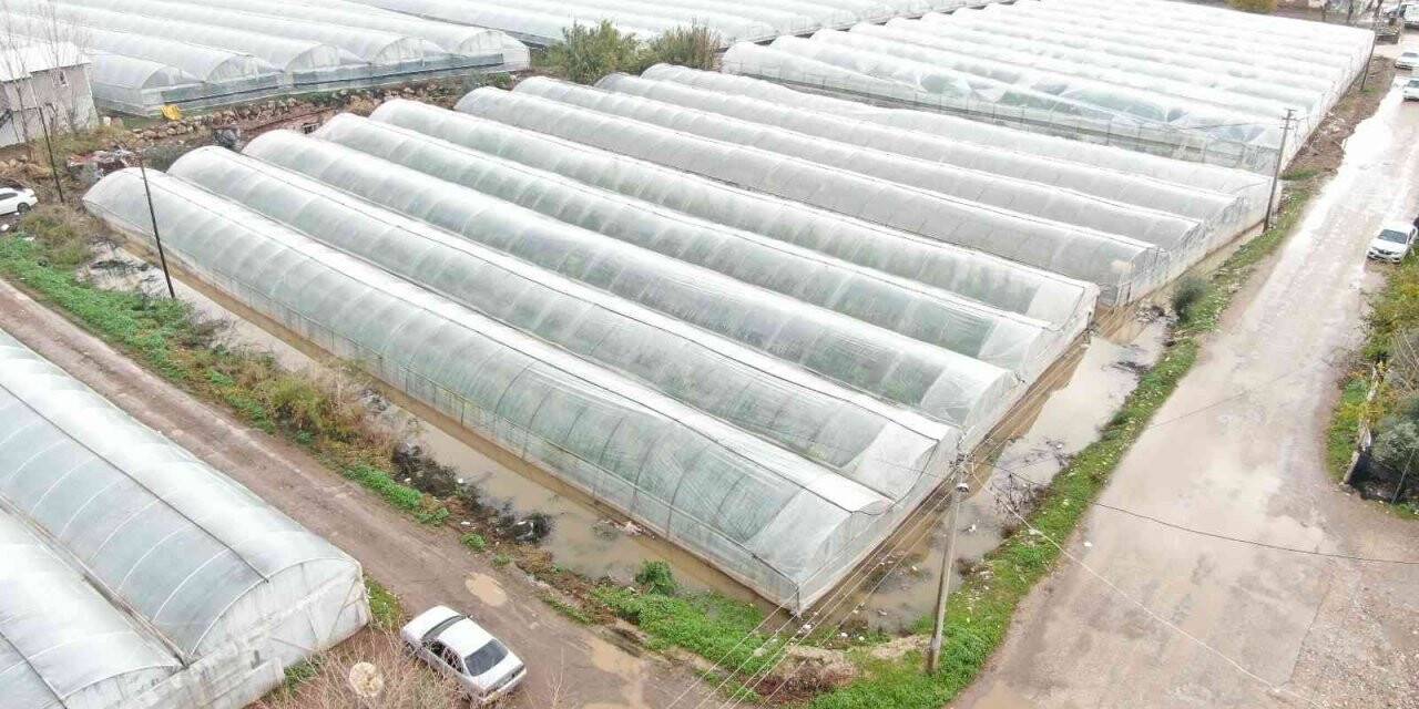 Metrekareye 180 kilogram yağış düştü, seraları su bastı