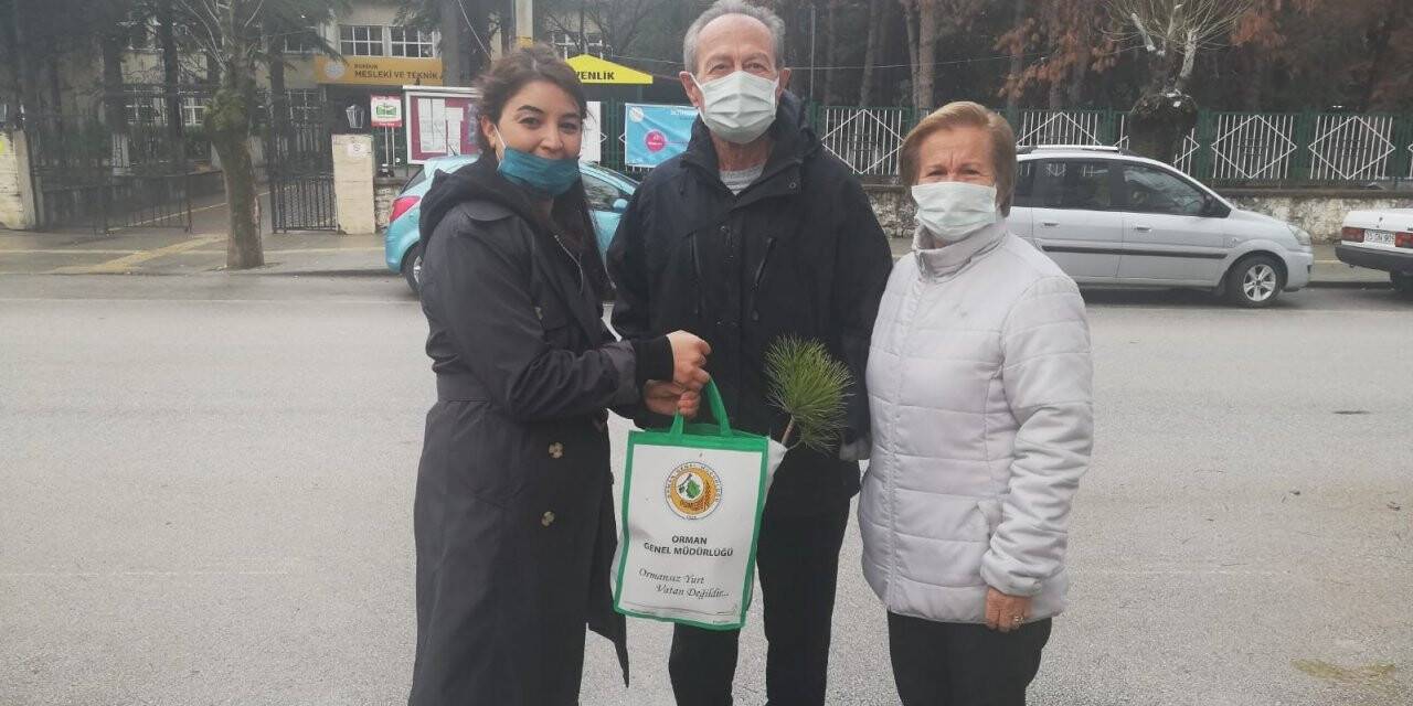Çam ağacı kesimini önlemek için bin adet fidan dağıtıldı