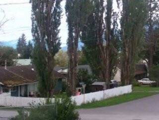 Kanada'daki Gizemli Seslerin Sırrı Çözüldü