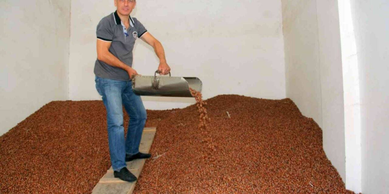 Yılın son gününde fındık fiyatı 30 TL