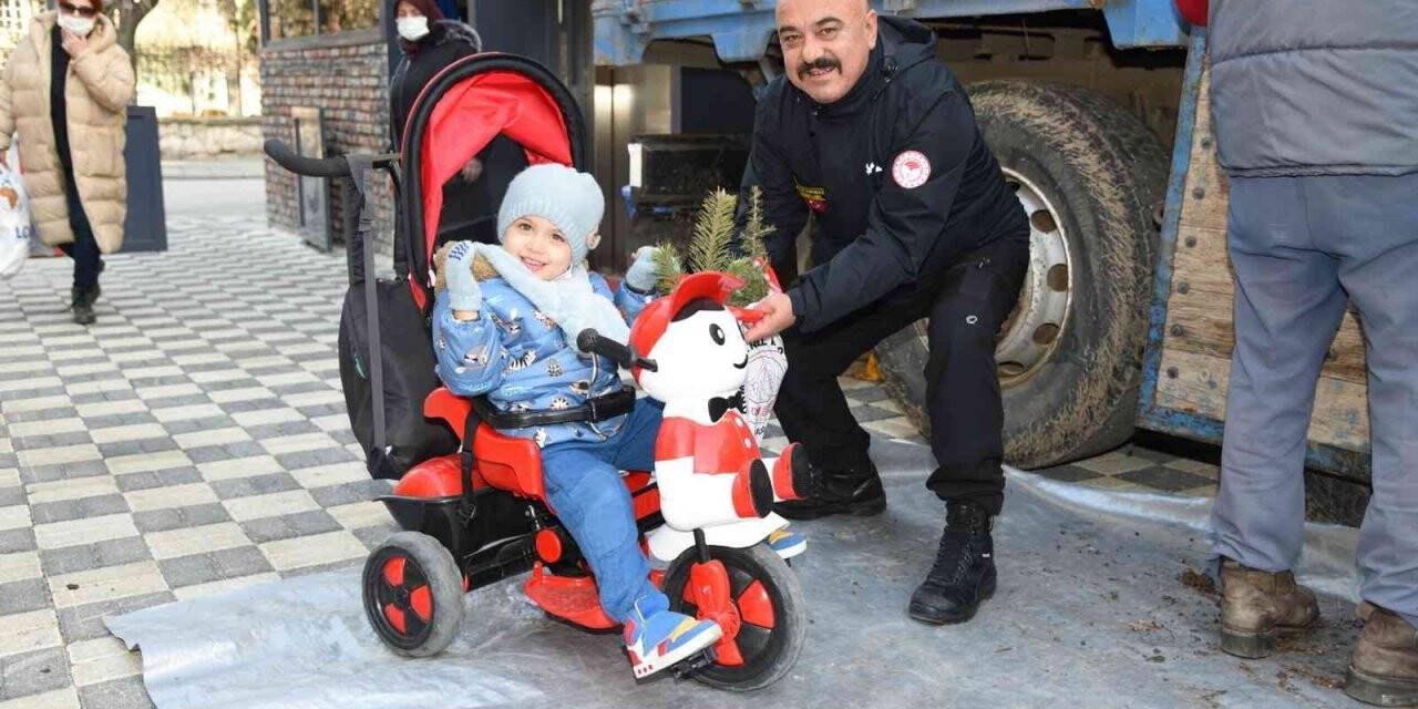 Yeni yıl hediyesi fidanlar ücretsiz olarak dağıtıldı