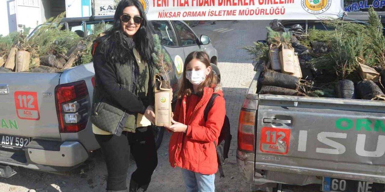 Tokat’ta yılbaşı öncesi bin adet fidan dağıtıldı