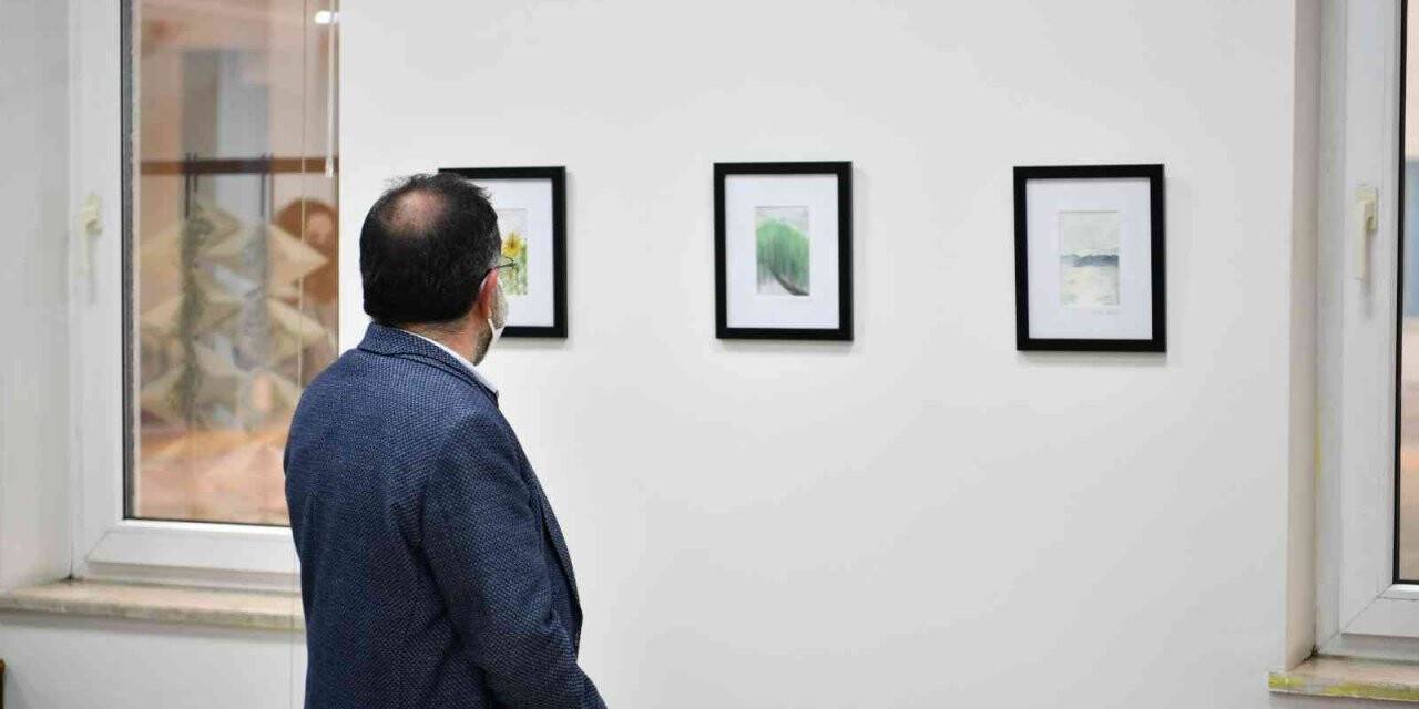 SAÜ’de karma sergi açıldı