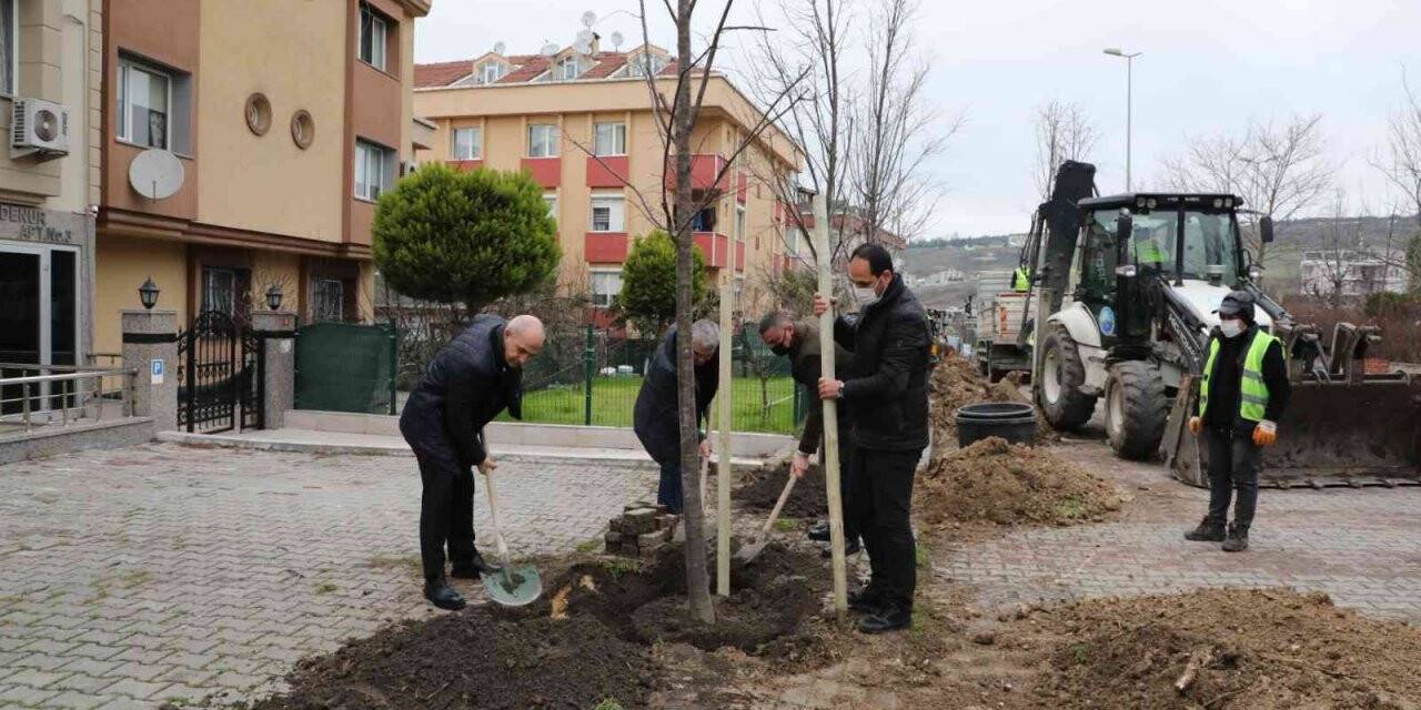 Büyükçekmece 2022 yılına 22 ıhlamur ağacı dikerek girdi