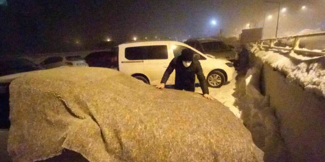 Bitlis’te hayat dondu