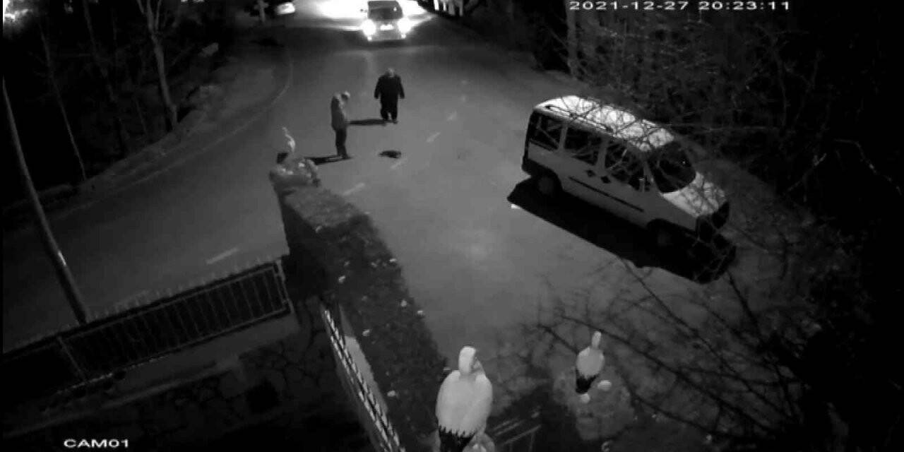 Çarptığı kediyi yolda bırakmadı