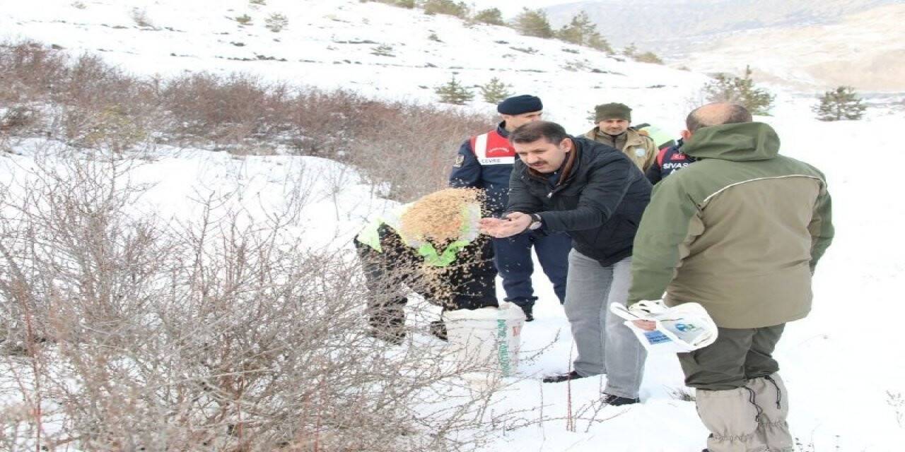 Vali yaban hayvanları için doğaya yem bıraktı